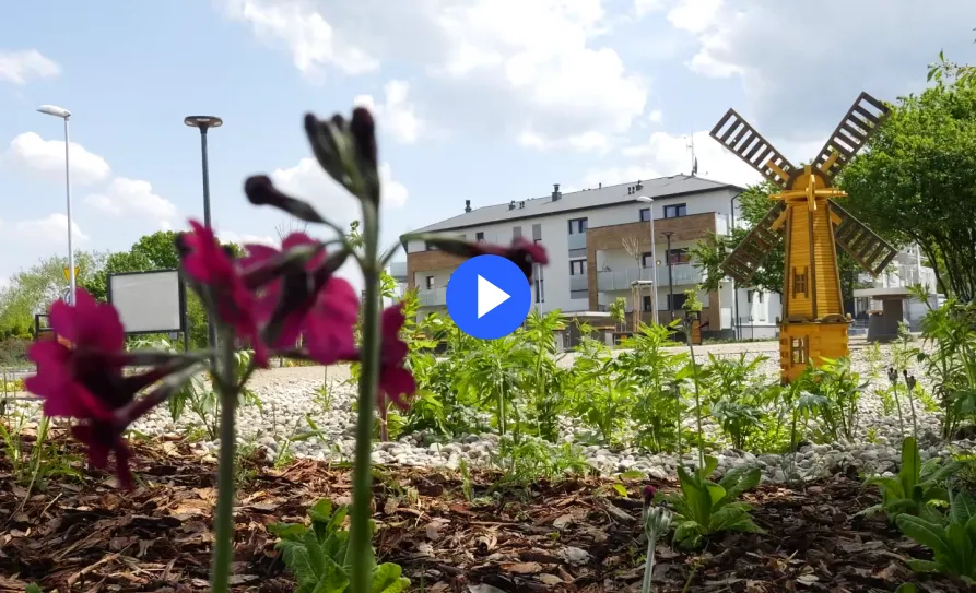 Parki kieszonkowe w Toruniu