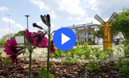 Parki kieszonkowe w Toruniu