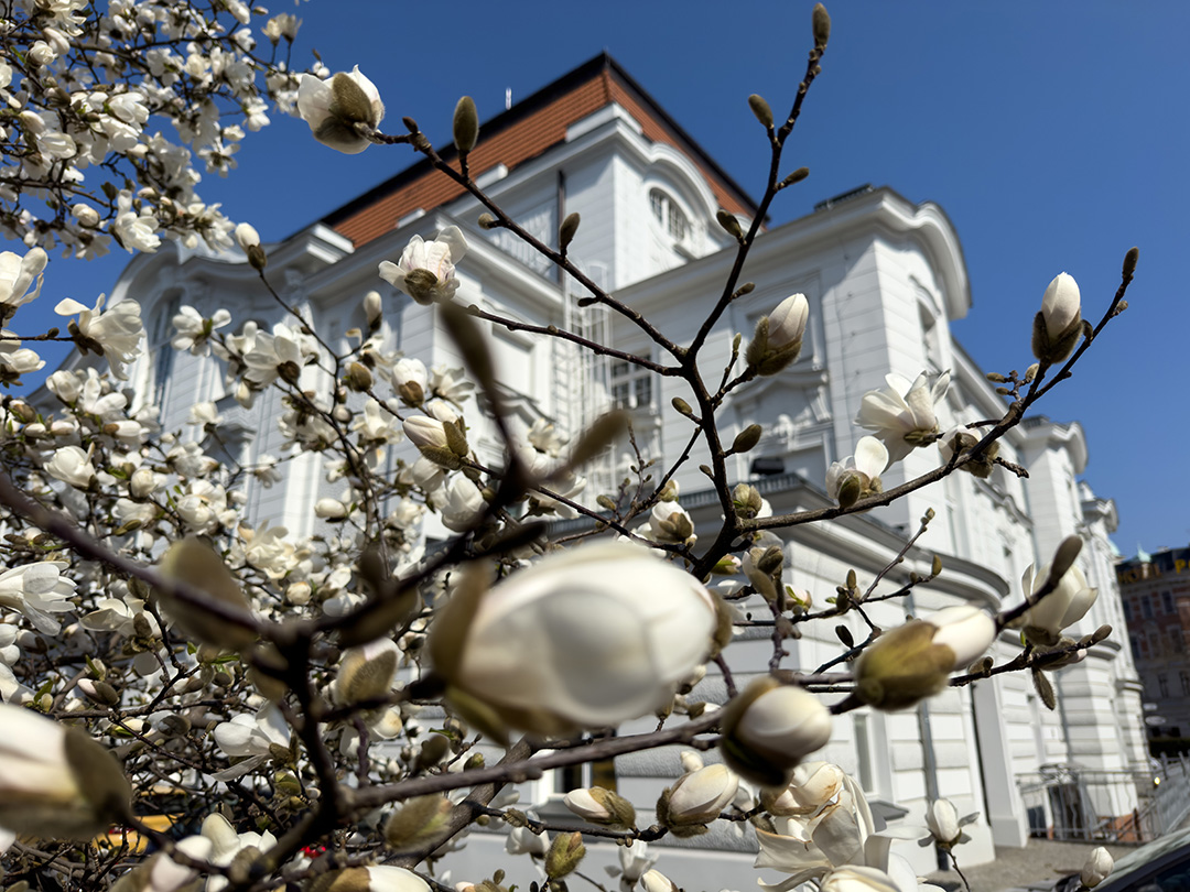 Wielkanocny weekend w Toruniu