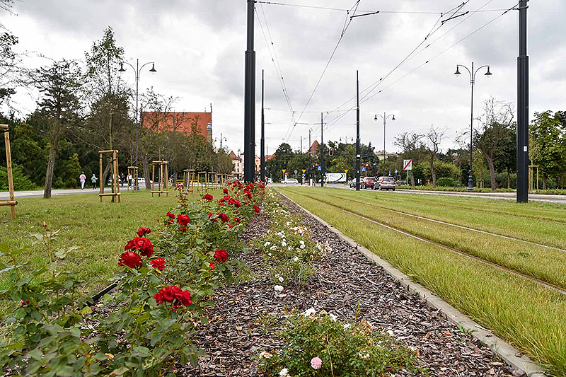 Kliknij w obrazek, aby powiększyć