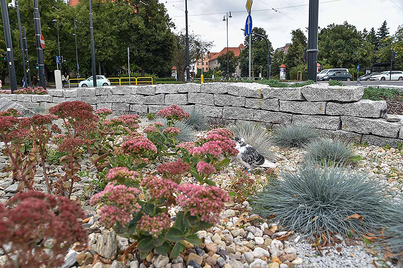 Kliknij w obrazek, aby powiększyć