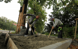 Dwaj robotnicy wyrównują łopatami podsypkę pod chodnik pod drzewem