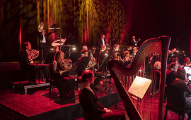 Mizucy Toruńskiej Orkiestry Symfonicznej grają na instrumentach, na pierwszym planie harfa