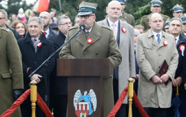 Zdjęcie z galerii Narodowe Święto Niepodległości 2015 w Toruniu