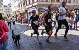 Zdjęcie z galerii Run Toruń 2016