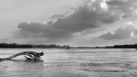 "Ikonary" - wernisaż wystawy Jacka Marczewskiego