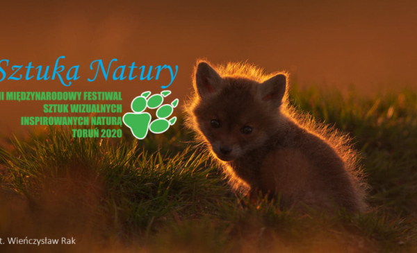 Plakat informujący o festiwalu Sztuka Natury - mały lis siedzi wśród traw, w tle zachodzące słońce