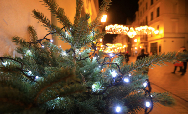 Gałązka świerku przybrana lampkami choinkowymi, w tle widać iluminację świąteczną na ul. Szerokiej