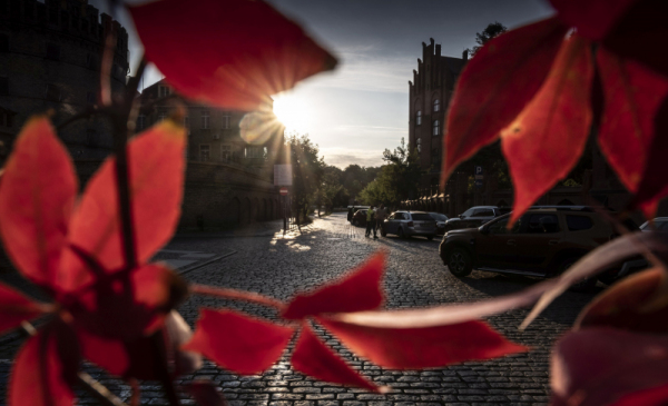 Na zdjęciu: promienie słońca oświetlają ulicę i bruk, na pierwszym planie jesienne czerwone liscie