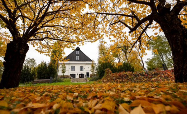 Na zdjęciu: biały budynek Muzeum Etnograficznego wśród jesiennych drzew z żółtymi liśćmi