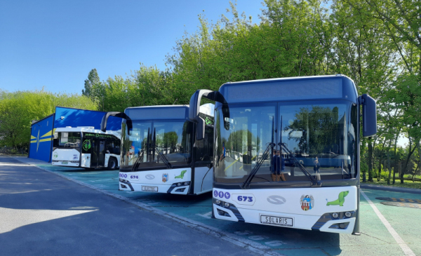 Autobusy linii nr 10, 20 i N93 wracają na stałe trasy