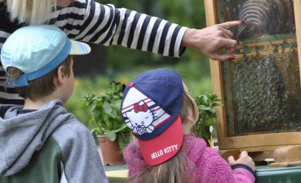 Na zdjęciu pracowniczka ogrodu wskazuje na ule przyglądającym się obok dzieciom