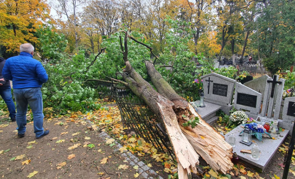 Drzewo zwalone na nagrobki w nocy z 21/22 października 2021 r. na cmentarzu św. Jerzego, fot. Małgorzata Litwin