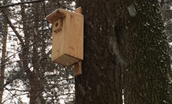Na zdjęciu: budka dla ptaków wykonana z jasnego drewna, zawieszona na drzewie