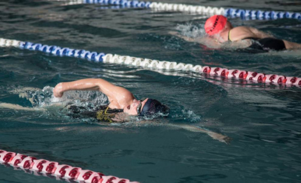 Na zdjęciu: zawodnik płynie w basenie