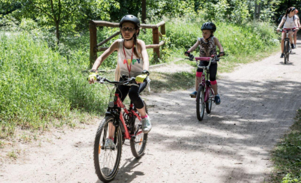Na zdjeciu: dzieci jadą leśną drogą na rowerach