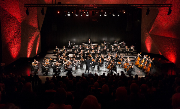 Zdjęcie Toruńskiej Orkiestry Symfonicznej