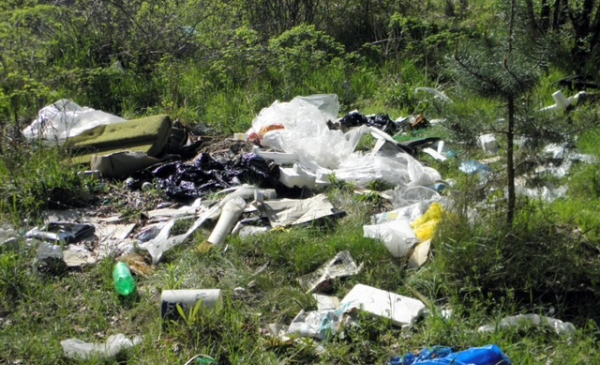 Na zdjęciu: śmieci na dzikim wysypisku