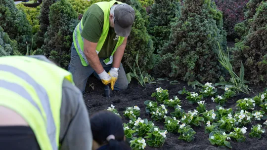 Trwają wiosenne prace porządkowe