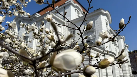 Wielkanocny weekend w Toruniu