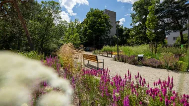 Park kieszonkowy Litewska Ojczyzna