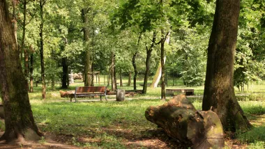 Park Tysiąclecia