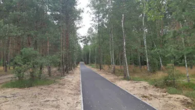 Co oznaczają numery na drzewach na Barbarce