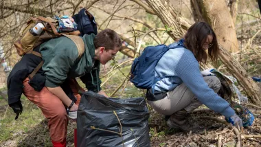 Porządki na winnicy