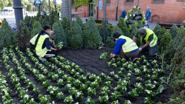 Sadzimy kwiaty w centrum!