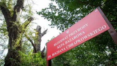 Odsłonięcie tablicy na Kępie Bazarowej