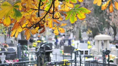 Wszystkich Świętych 2025: informator