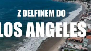 Zawody pływackie  w Aqua Toruń