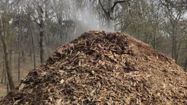 Para wodna w zrębkach drewna na Martówce