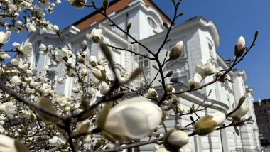 Wielkanocny weekend w Toruniu