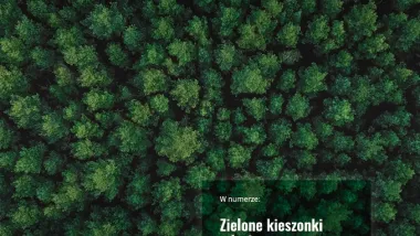 Hybryda dla młodzieży