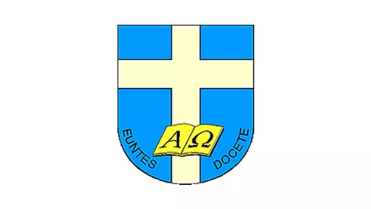 Logo WSD