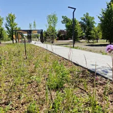 Nowa przestrzeń rekreacyjna w Toruniu powstała przy ulicy Polnej: park linearny