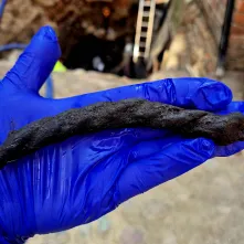 Badania archeologiczne na dziedzińcu Domu Mikołaja Kopernika