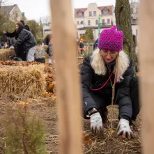 9 listopada 2024 r. u zbiegu ulic Lindego i Słowackiego, na skraju tzw. Zajęczych Gór, nasadzono gęsto 660 drzew i krzewów wyłącznie rodzimych gatunków, tworząc mikrolas japońską metodą Miyawaki. 