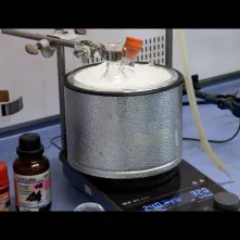 TAK SIĘ ROBI BIZNES W TORUNIU # 2 Noctiluca SA