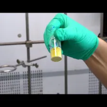 TAK SIĘ ROBI BIZNES W TORUNIU # 2 Noctiluca SA