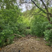 We wschodniej części Winnicy usunięto blisko 7 ton odpadów na nielegalnym wysypisku