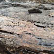 Badania archeologiczne na dziedzińcu Domu Mikołaja Kopernika