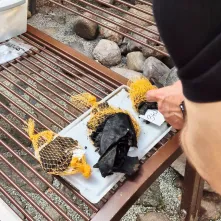 Badania archeologiczne na dziedzińcu Domu Mikołaja Kopernika