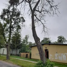 ul. 63. Pułku Piechoty