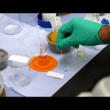 TAK SIĘ ROBI BIZNES W TORUNIU # 2 Noctiluca SA