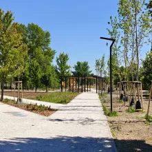 Nowa przestrzeń rekreacyjna w Toruniu powstała przy ulicy Polnej: park linearny