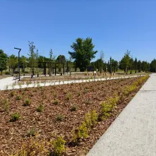 Nowa przestrzeń rekreacyjna w Toruniu powstała przy ulicy Polnej: park linearny