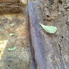 Prace przy Domu Mikołaja Kopernika