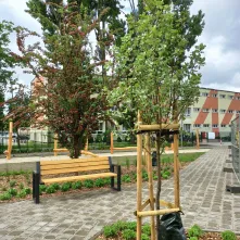 Skwer przy ul. Gagarina został otwarty